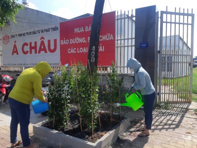 DẤU ẤN CÔNG ĐOÀN GIỮA THÀNH PHỐ XANH
