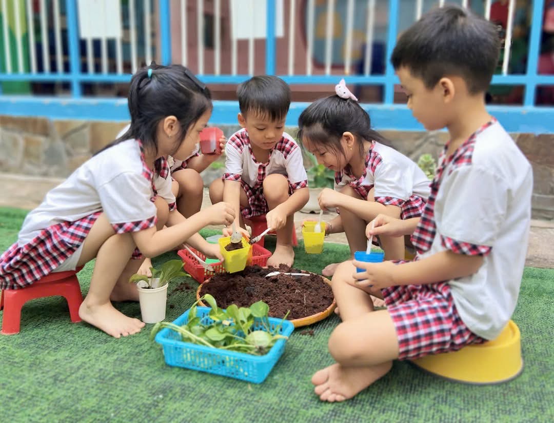 HÃY CÙNG NHAU TRỒNG CÂY NHỚ VỀ BÁC
